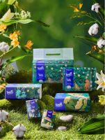 Tempo得宝联名V&A博物馆打造顶级品位 释放古典浪漫