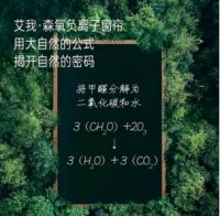 春风十里 不如艾我森氧负离子窗帘陪你