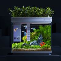 第24届中国国际宠物水族展展览会圆满落幕，画法几何成行业焦点