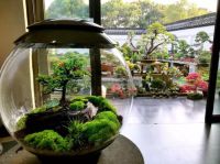 速看！拯救打工人的活力家居大法！