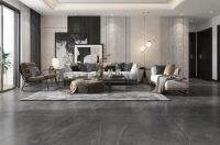 狮王瓷砖京瓷石系列、C位颜板充分体现高端质感