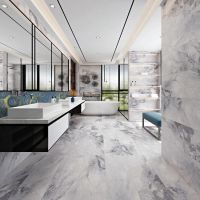 狮王瓷砖京瓷石系列、C位颜板充分体现高端质感