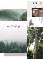 感悟百年珍品——阔叶黄檀的历史沉淀