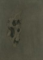 WS GALLERY | 衍•Evolvement ——杨新收个展