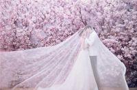 婚纱照简修和精修的区别 拍婚纱照需要注意哪些