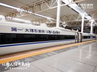 简一爱家高铁专列在上海首发  用文化诠释自然之美