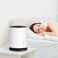 懒癌福音，施铂加湿器，助你轻松告别干燥冬季