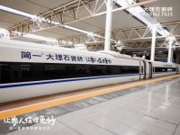 满载艺术和爱，简一自然之美移动博物馆上海盛大发车