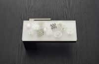 杨明洁/谢天/品物流形：当记忆与设计美学共生共融