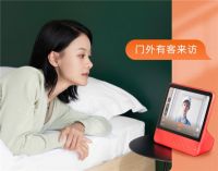 天猫精灵妙物门铃：比摄像头还好用，守住门口就守住了全家！