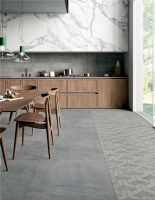 东鹏瓷砖，给你全新的视觉体验。