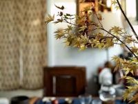 80后北京姑娘卖掉市区房 租郊区400㎡院子乐开花