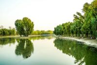 广阳郡九号：法式建筑，融合贵族气质与浪漫优雅