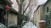 80后北京姑娘卖掉市区房 租郊区400㎡院子乐开花