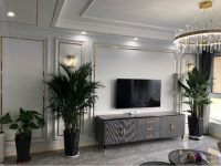 健康·智慧家|三翼鸟金牌设计师套系推荐——用智慧打开婚房装修新格式