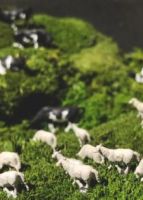 设计共和2020好物·圣诞市集 共赏20+国内外品牌好物