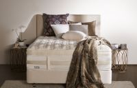 实至名归，造梦者荣获CanstarBlue2020年消费者最满意奖