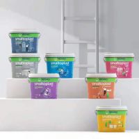 蔚禾漆 外包装超高颜值获设计大奖