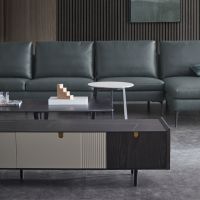 天禧二代生态皮新品发布，“克洛森林”让家充满自然的味道