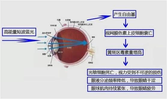 燕郊新浪家居