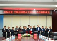 北新木业与中国林科院木材所签约 开启全面战略合作