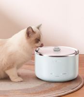 铲屎官的秘密武器！美的小泉眼宠物饮水机，毛孩子喝水不愁！