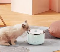 铲屎官的秘密武器！美的小泉眼宠物饮水机，毛孩子喝水不愁！