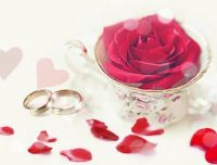 结婚能不能说恭喜 结婚恭喜的话有哪些