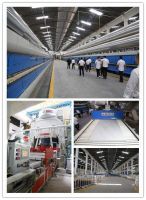 圣堡龙陶瓷：用实力打造卓越品质