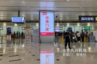 门窗十大品牌派雅门窗：奋斗的2020，一起翱翔！