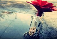 婚姻中关于感情的说说 告诫自己该清醒的句子