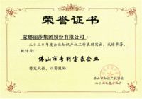 创新引领，蒙娜丽莎荣登佛山市专利十强企业