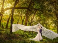 晒婚纱照配什么句子 如何选到满意的婚纱