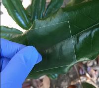 「一线」盘点⑤2020设计关键词：绿色、健康、永续、智能