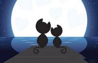 对情侣说的浪漫话有哪些  情侣秀恩爱的句子有哪些