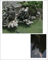 彭麗:沐浴在时间光泽下做设计