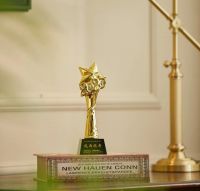 月影家居荣获“ALIKEY家装行业服务体验风雨同舟”奖