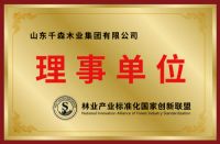 畔森板材十大网选板材，为中国家庭打造健康家居