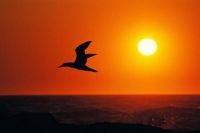 对男朋友说的暖心的话有哪些  让男朋友感动到哭的话有哪些