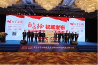 大角鹿荣获2020中国陶瓷•超耐磨大理石瓷砖品类冠军