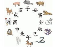 十二生肖婚配相生相克 属虎的和什么属相相克