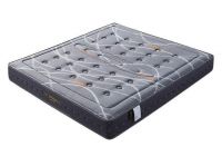 汤池印象：破解行业痛点  打造消费品牌