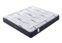 汤池印象：破解行业痛点  打造消费品牌