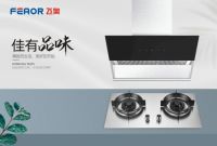 烹饪东坡肉竟如此简单 原来是飞奥电器在发力！