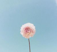 写给长辈的暖心话 写给父母的话简短真实