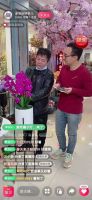 “新春不打烊”|主编带你逛好店 列新年好物清单