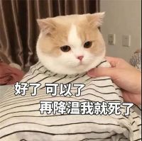 超级寒冬下，如何应对强降温，壁挂炉是高效舒适首选