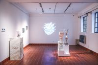 孢子散落的房间：家居艺术馆轮番大招，让你目眩神迷