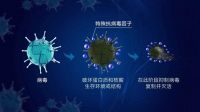 立邦中国上海研发中心成功升级工业卷材涂料抗病毒性能