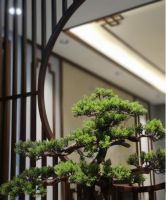 河南匠心木业有限公司打造整木定制新天地